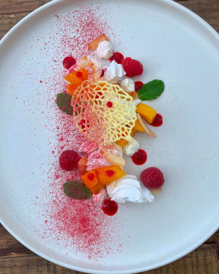Elegant dessert with fruit garnish