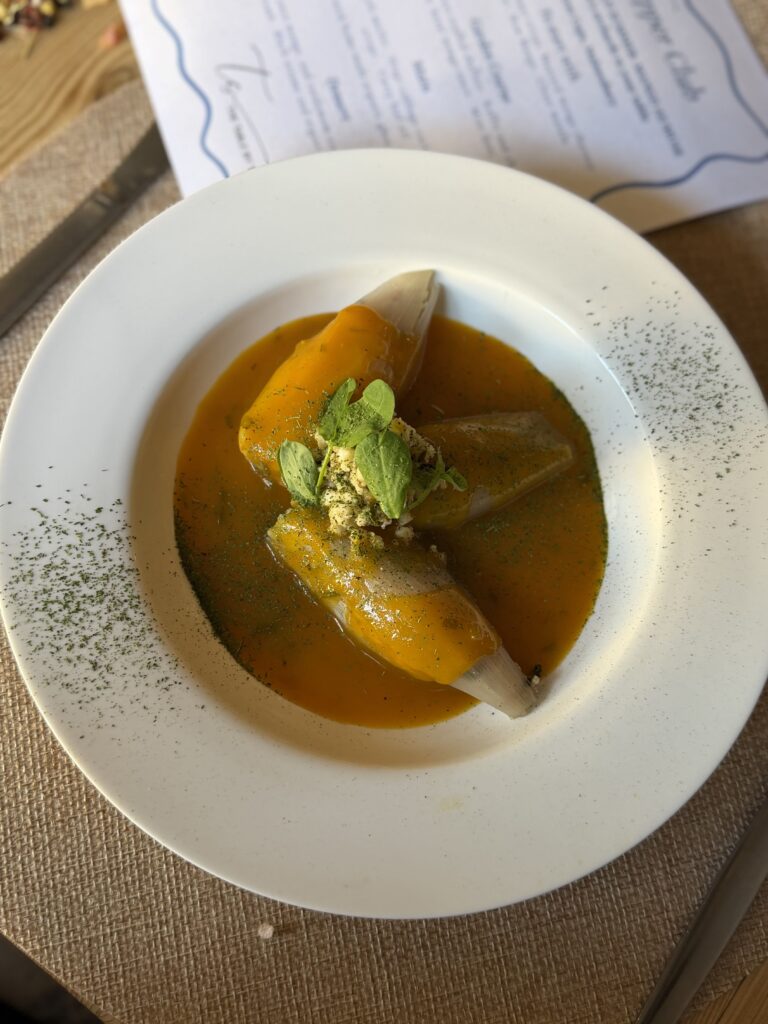 Gourmet soup with vegetables and herb garnish